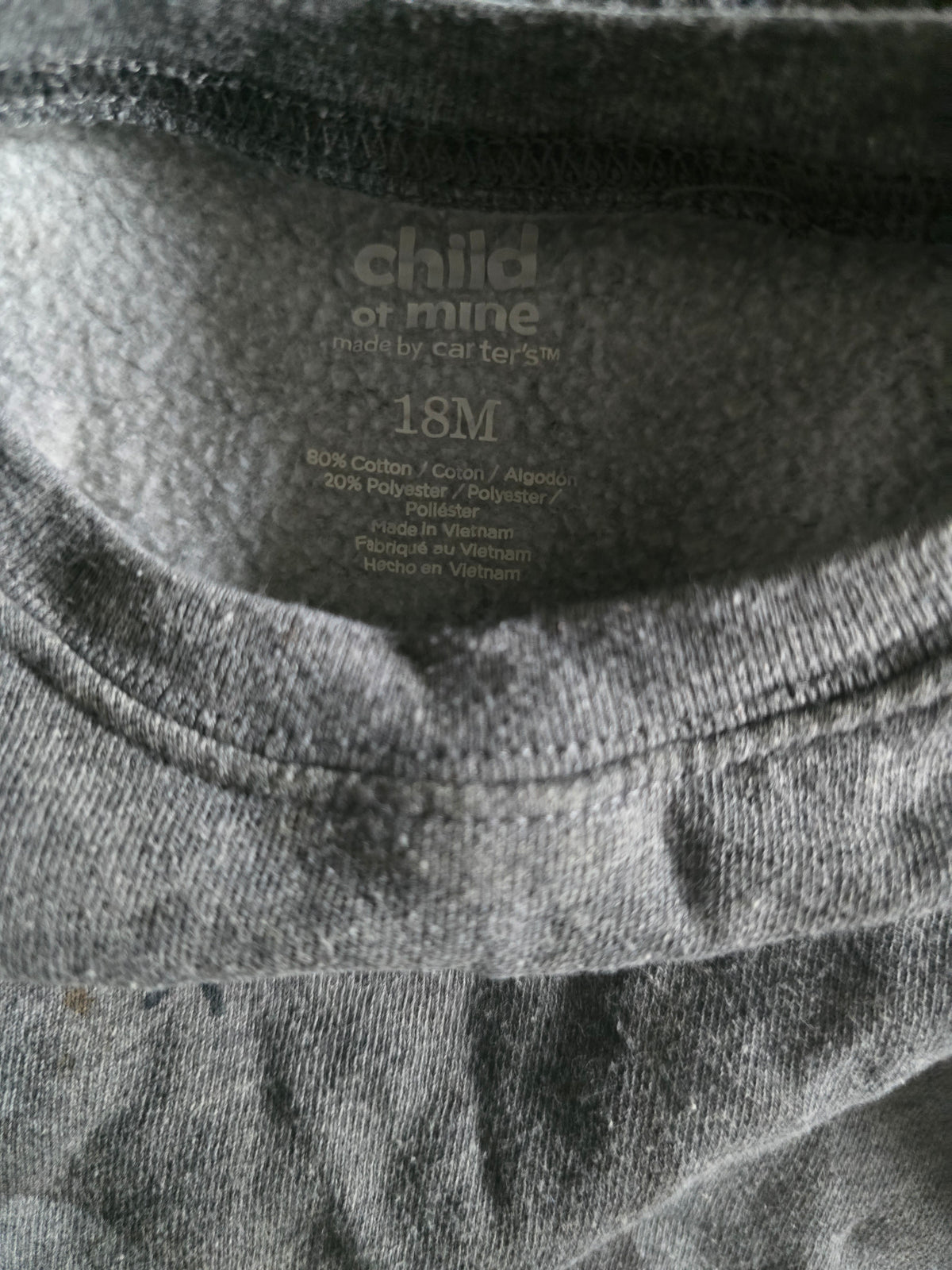 Child of Mine by Carter's Bear Graphic Sweatshirt | 18M