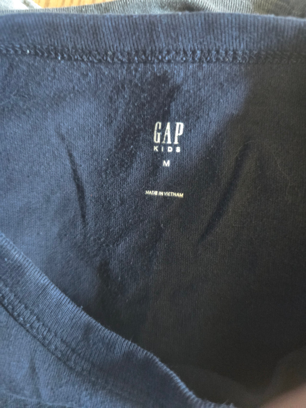 GAP Dinosaur Graphic Long Sleeve | M