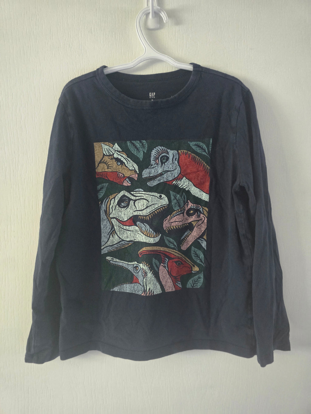 GAP Dinosaur Graphic Long Sleeve | M