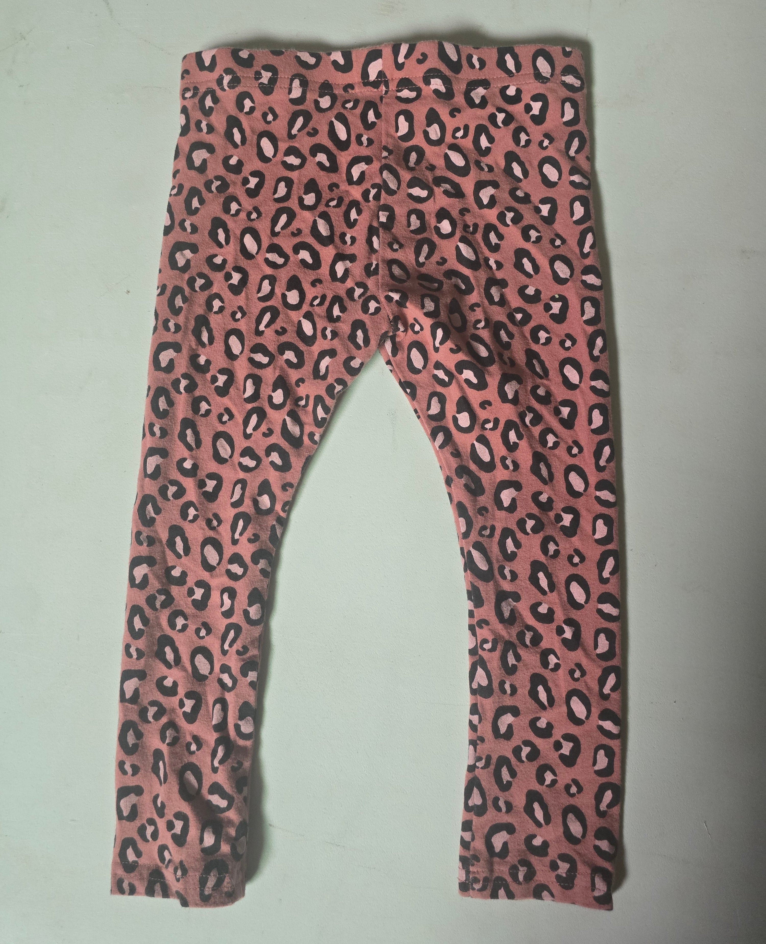 George Leopard Print Leggings | 4t